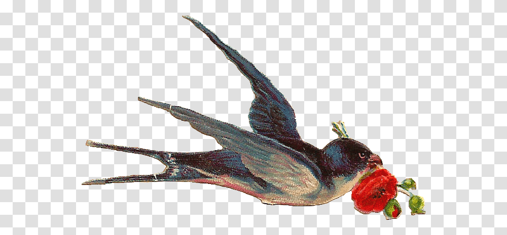 Free Vintage Bird Vintage Bird Clip Art, Lizard, Animal, Bat, Wildlife Transparent Png