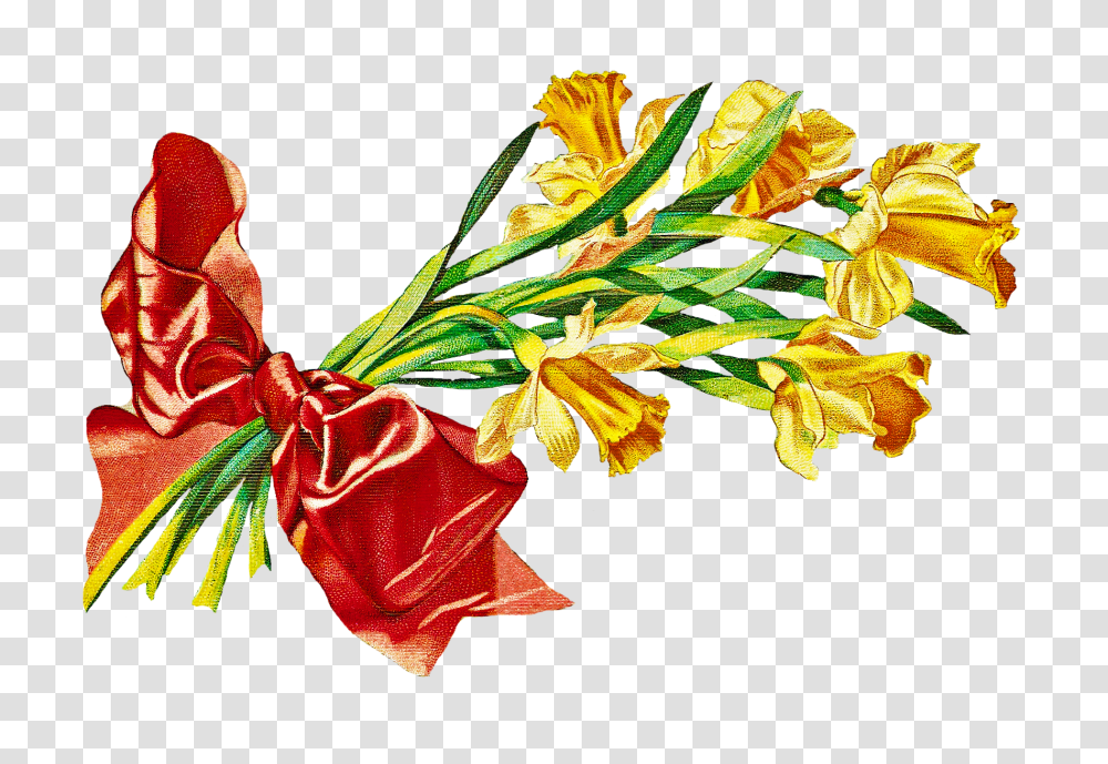 Free Vintage Clip Art, Plant, Flower, Leaf, Carrot Transparent Png