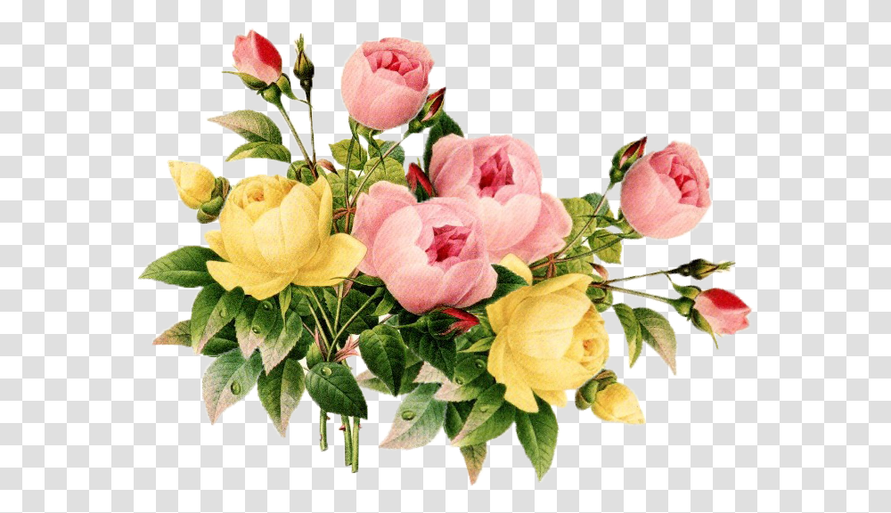 Free Vintage Flower Clipart Vintage Flowers, Plant, Blossom, Flower Arrangement, Flower Bouquet Transparent Png