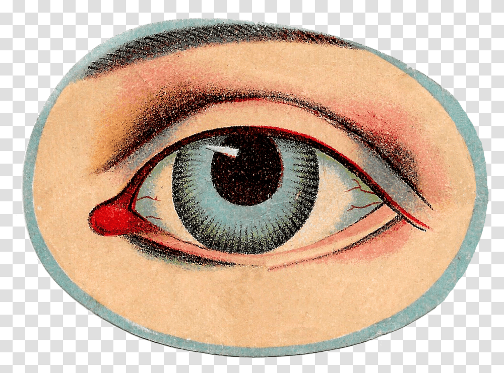 Free Vintage Human Anatomy Illustration Images Eye Vintage Eye, Contact Lens, Hat, Apparel Transparent Png