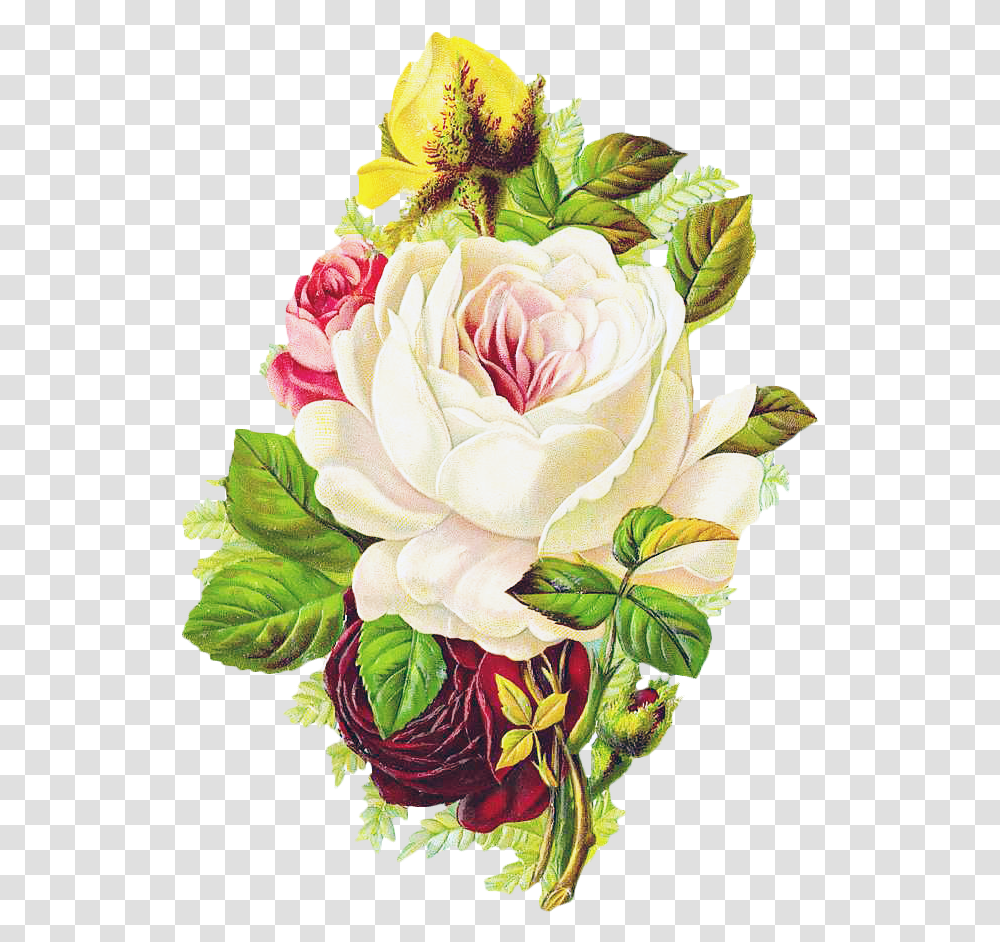Free Vintage Rose Beautiful Vintage Floral Art Sticker Good Morning Paper Flowers, Floral Design, Pattern, Graphics, Plant Transparent Png