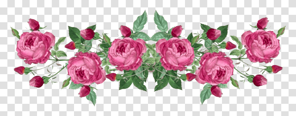 Free Vintage Rose Borders - Scrapbooking Pink Flower Border Drawing, Plant, Bush, Leaf, Geranium Transparent Png