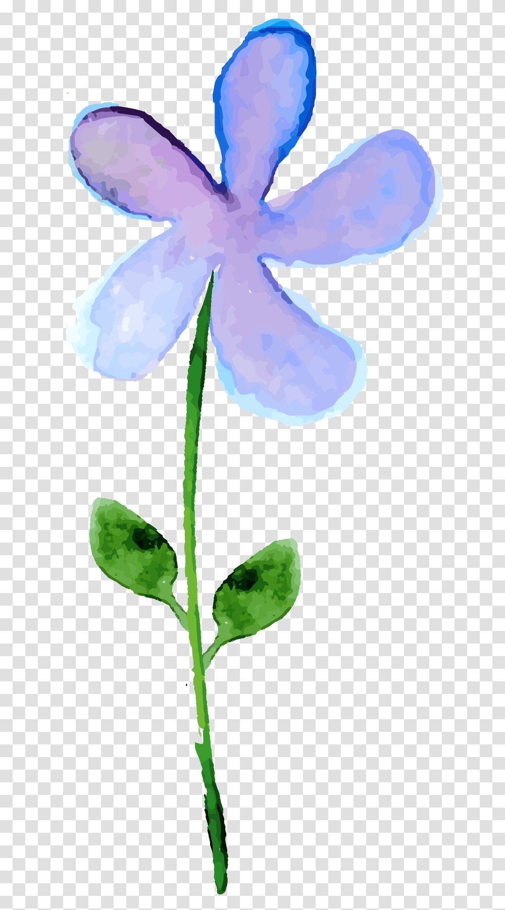 Free Water Colored Flower With Lovely, Plant, Blossom, Iris, Petal Transparent Png