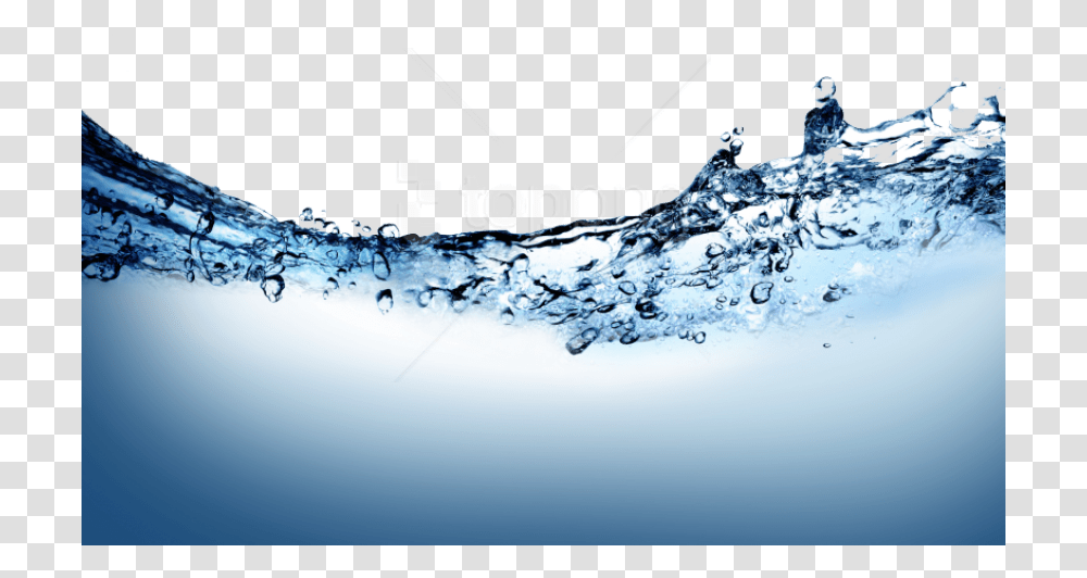 Free Water Splash High Resolution Water Splash, Droplet, Bubble, Bird, Animal Transparent Png