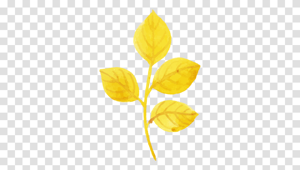 Free Watercolor Autumn Leaf Konfest Tree, Plant, Flower, Blossom, Photography Transparent Png