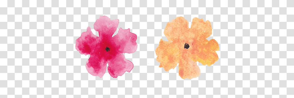 Free Watercolor Bouquet Flower, Plant, Blossom, Petal, Stain Transparent Png