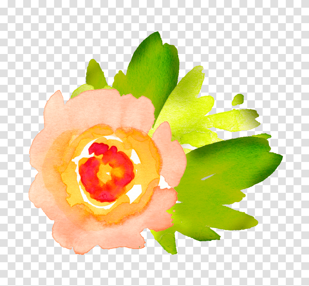 Free Watercolor Floral Elements Pretty, Leaf, Plant, Rose, Flower Transparent Png