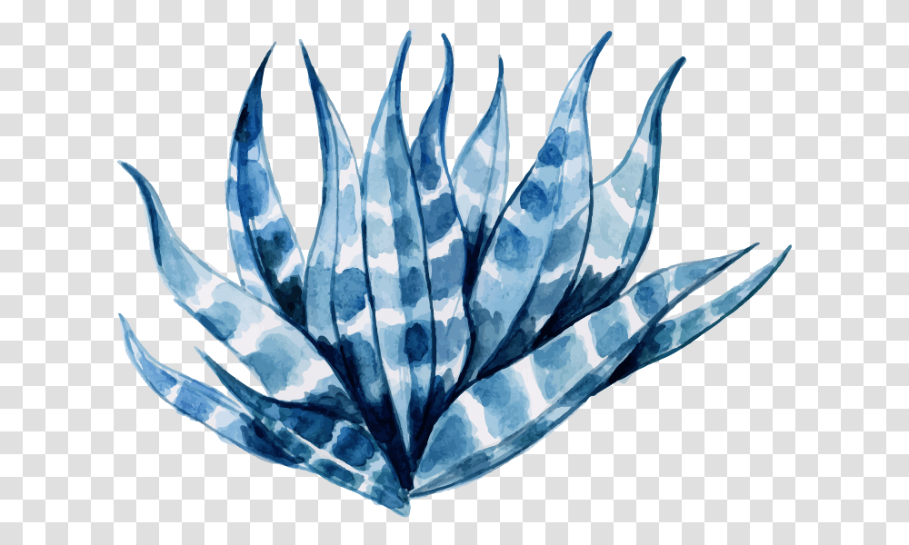 Free Watercolor Floral Konfest Agave Azul, Crystal, Bird, Animal, Glass Transparent Png