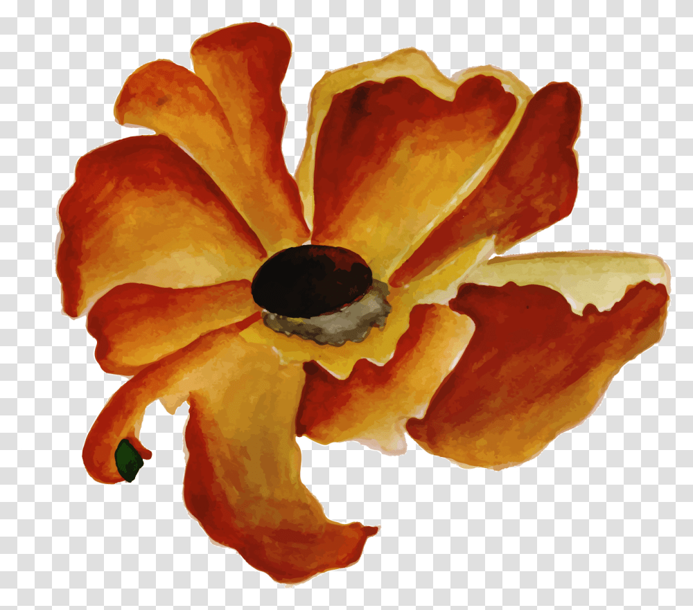 Free Watercolor Floral Konfest Brown Watercolor Flower, Plant, Fungus, Blossom, Peel Transparent Png