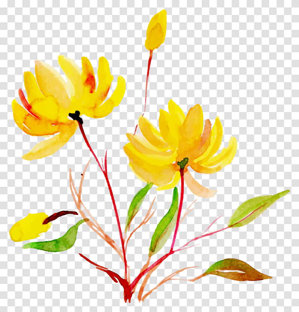 Free Watercolor Floral Konfest, Plant, Flower, Blossom, Graphics Transparent Png