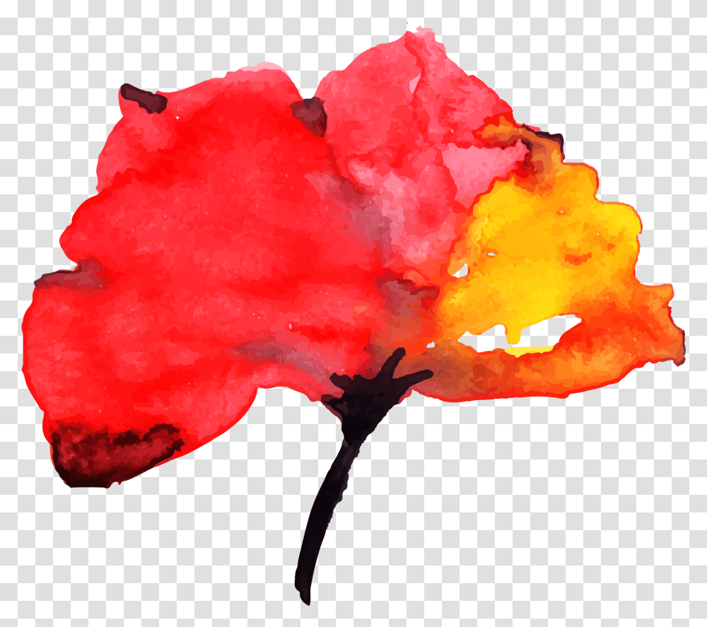 Free Watercolor Floral Konfest Visual Arts, Rose, Flower, Plant, Blossom Transparent Png