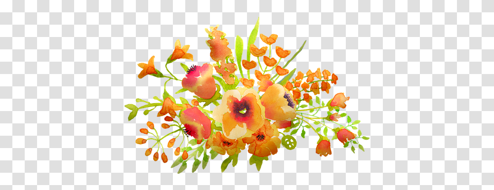 Free Watercolor Flower Illustrations Pixabay Pixabay, Plant, Blossom, Anther, Graphics Transparent Png