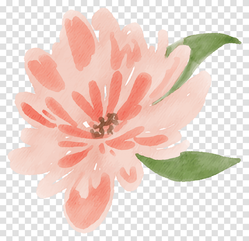 Free Watercolor Flower Images Peach Delight Free Pretty, Plant, Blossom, Anther, Petal Transparent Png