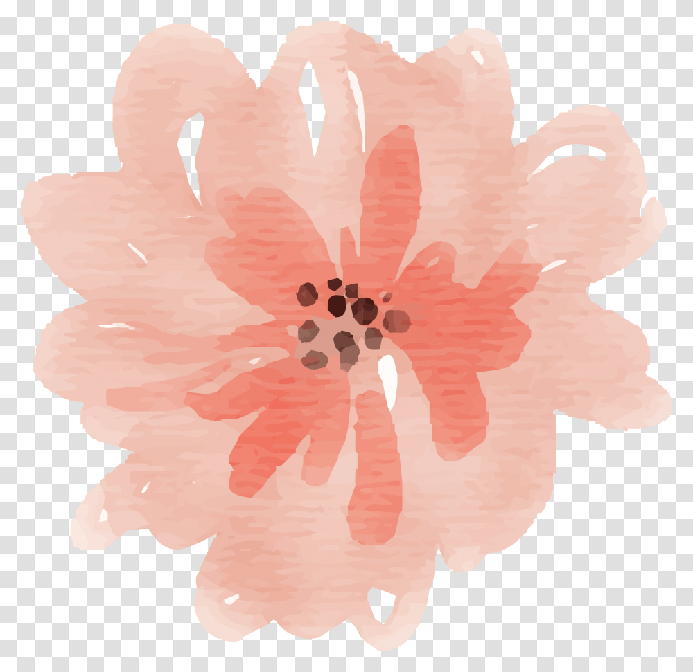 Free Watercolor Flower Images Peach Watercolor Flowers Peach, Plant, Blossom, Bird, Animal Transparent Png
