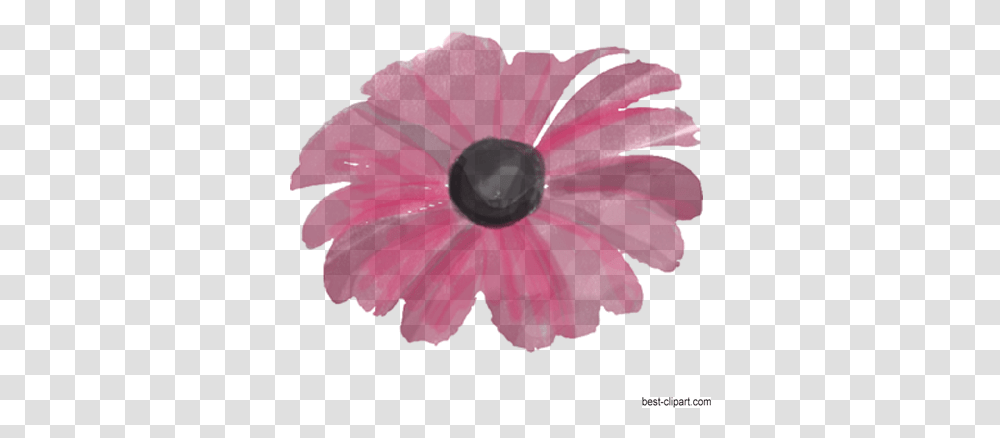 Free Watercolor Flowers Branches And Leaves Clip Art Gerbera, Plant, Daisy, Daisies, Blossom Transparent Png