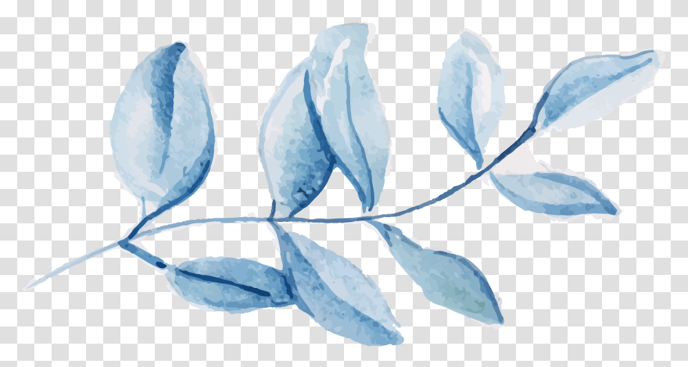 Free Watercolor Leaves Konfest, Leaf, Plant, Petal, Flower Transparent Png