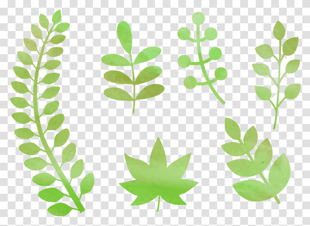 Free Watercolor Natural Elements Vetores Folhas, Leaf, Plant, Green, Flower Transparent Png