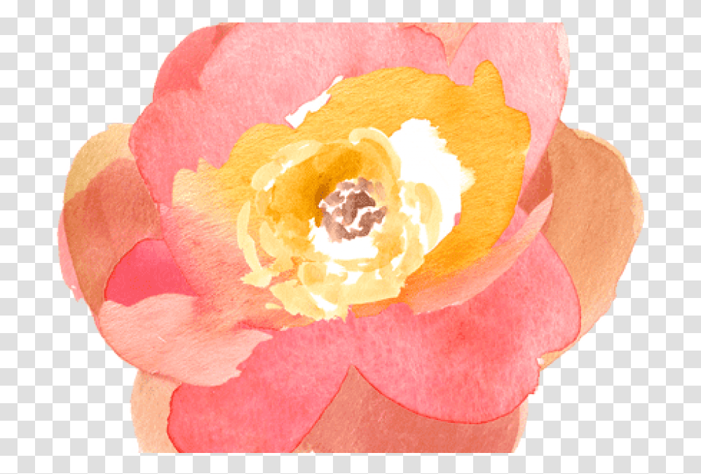 Free Watercolor Orange Flowers Images Flower Clipart Watercolor, Rose, Plant, Petal, Bee Transparent Png