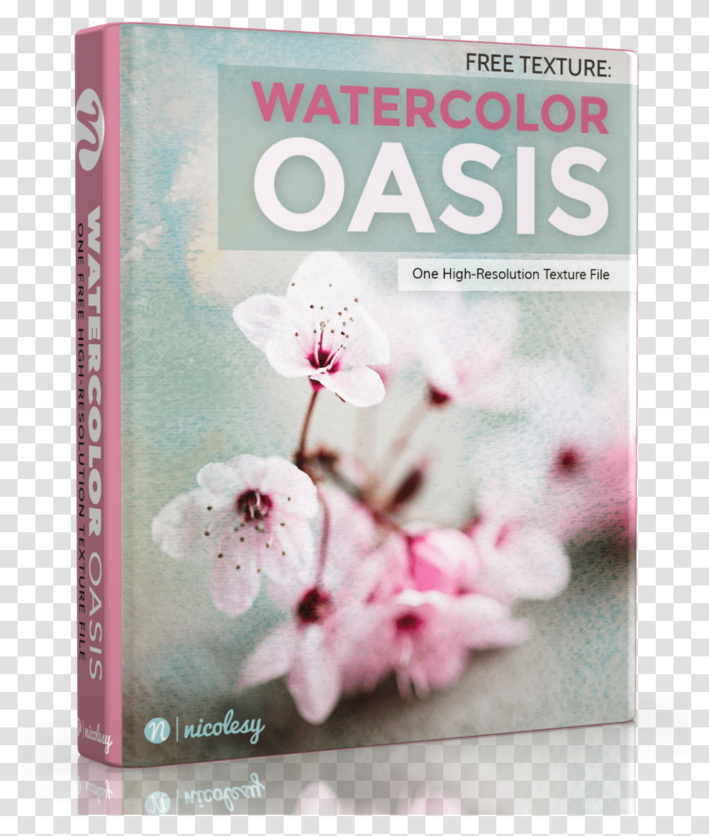Free Watercolor Texture Cherry Blossom, Plant, Flower, Geranium, Petal Transparent Png