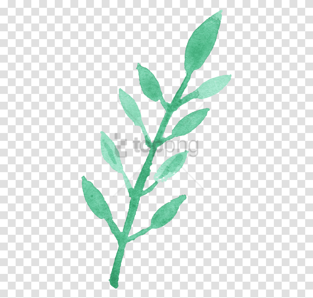 Free Watercolour Leaf Image With Watercolor Leaf Clip Art, Plant, Vase, Jar, Pottery Transparent Png