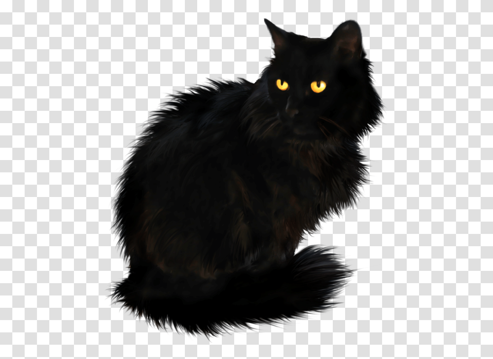 Free Waving Cat Images Black British Longhair Cat, Black Cat, Pet, Mammal, Animal Transparent Png