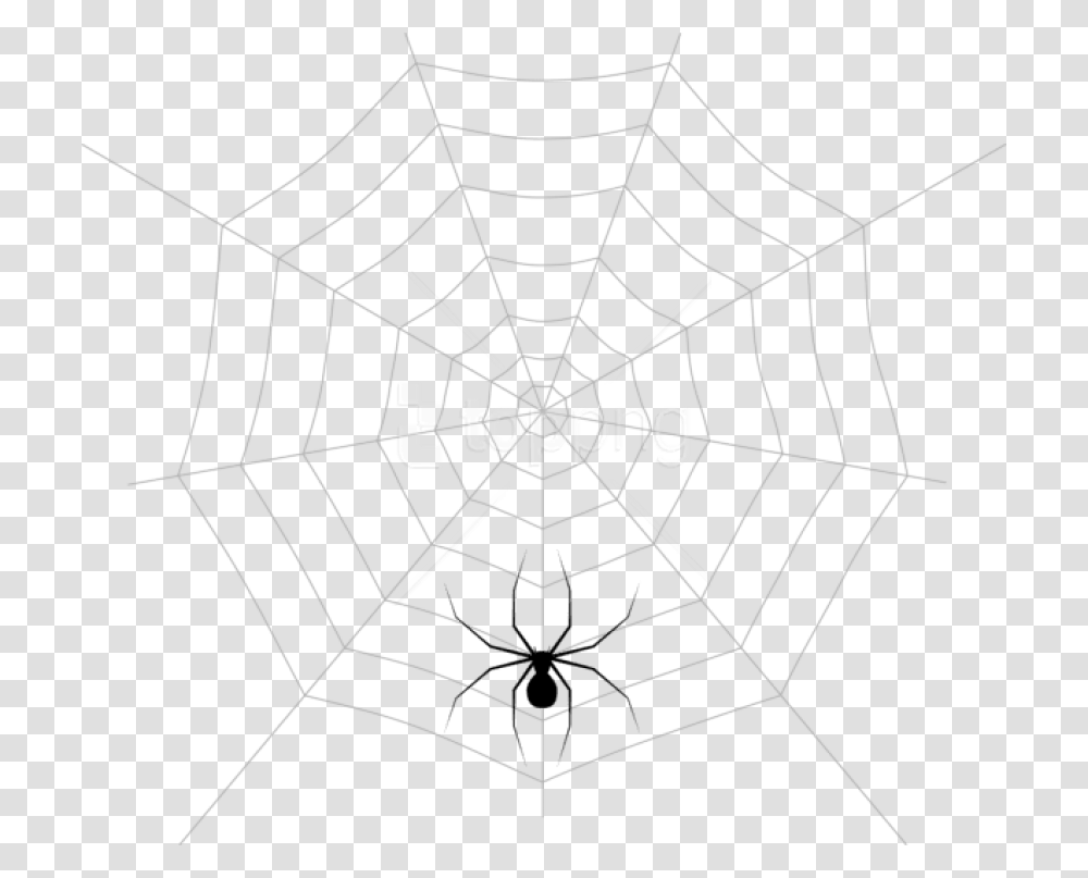 Free Web And Spider Images Spider Web Transparent Png