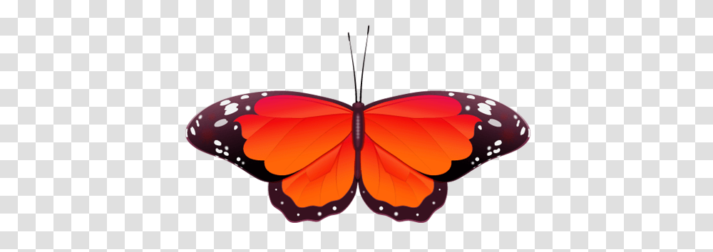 Free Wedding Clip Art, Insect, Invertebrate, Animal, Butterfly Transparent Png