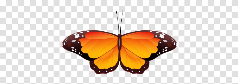 Free Wedding Clip Art, Insect, Invertebrate, Animal, Butterfly Transparent Png