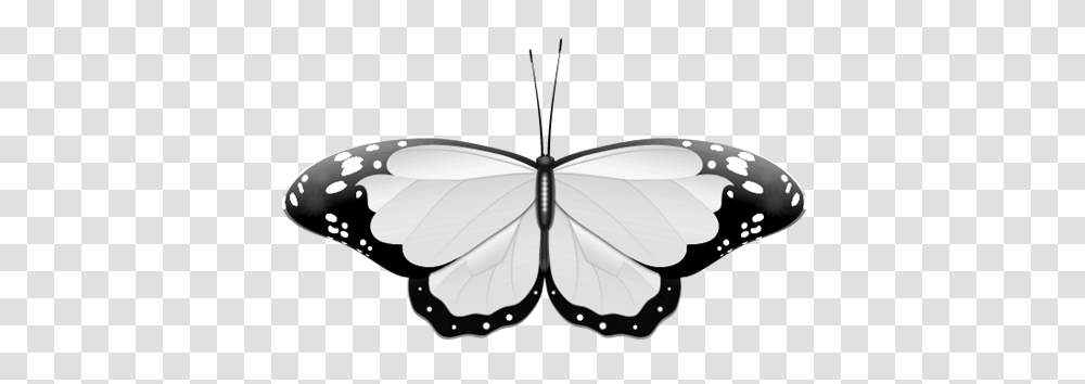 Free Wedding Clip Art, Insect, Invertebrate, Animal, Butterfly Transparent Png