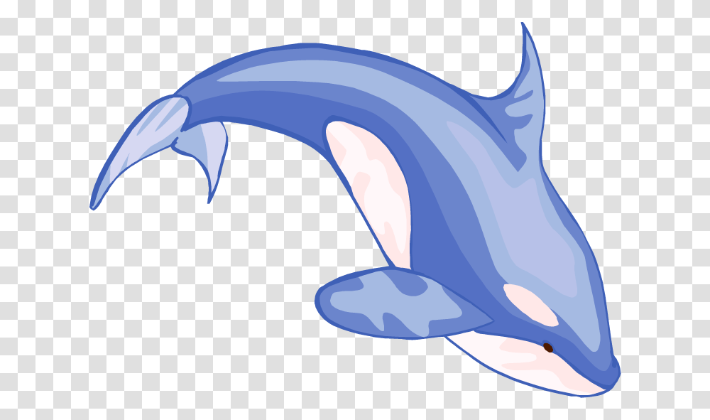Free Whale Clipart, Dolphin, Mammal, Sea Life, Animal Transparent Png