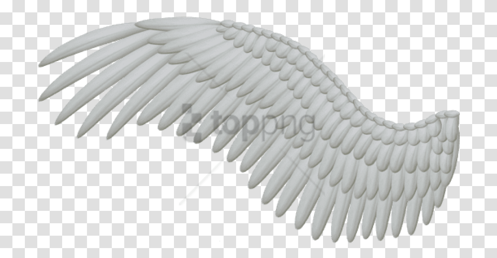 Free White Angel Wings Image With White Wings, Brush, Tool, Pottery Transparent Png