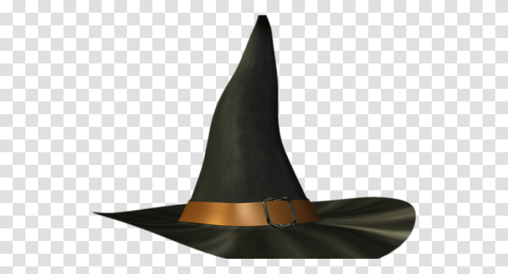 Free Witch Hat Background Hd Hat, Clothing, Apparel, Bird, Animal Transparent Png