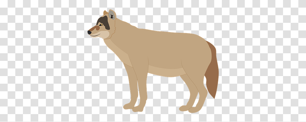 Free Wolf & Animal Vectors Pixabay Animal Figure, Mammal, Wildlife, Horse, Lion Transparent Png