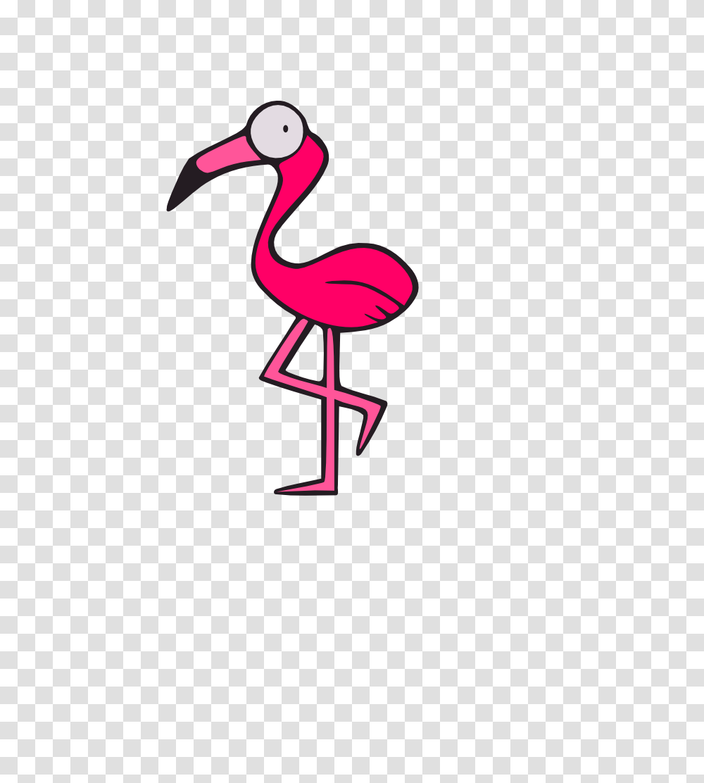 Free Wpc, Flamingo, Bird, Animal, Beak Transparent Png