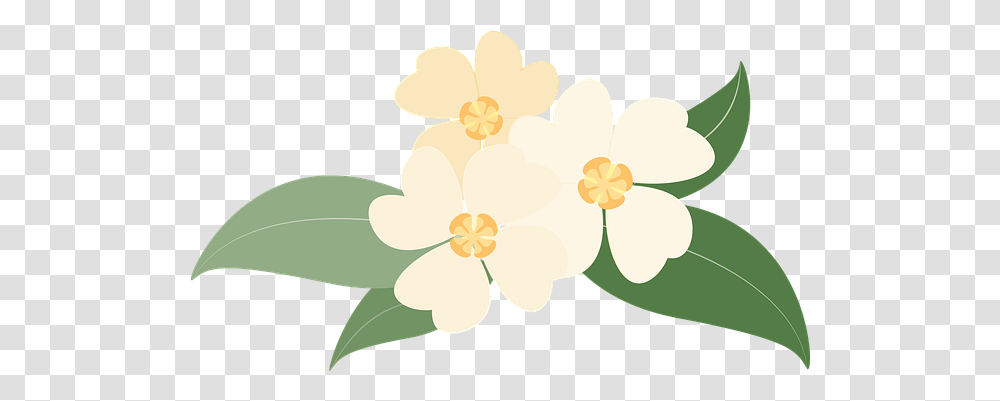 Free Yellow Flowers Flower Vectors Flower, Plant, Blossom, Icing, Cream Transparent Png