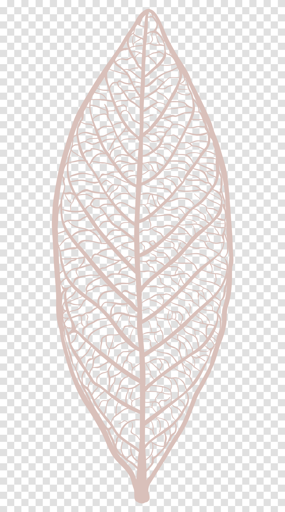 Freebie Hand Drawn Leaf Skeleton Vectors Tree, Rug, Pattern, Veins, Stencil Transparent Png