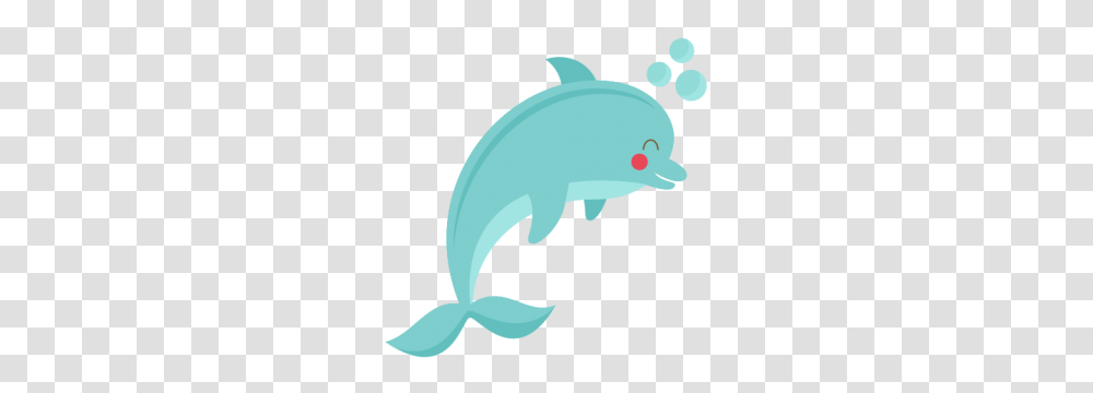 Freebie Of The Day, Dolphin, Mammal, Sea Life, Animal Transparent Png