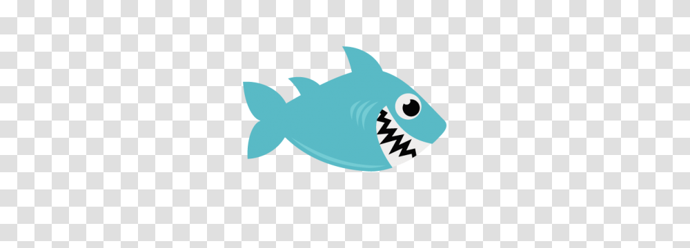 Freebie Of The Day Shark, Sea Life, Animal, Fish, Mammal Transparent Png