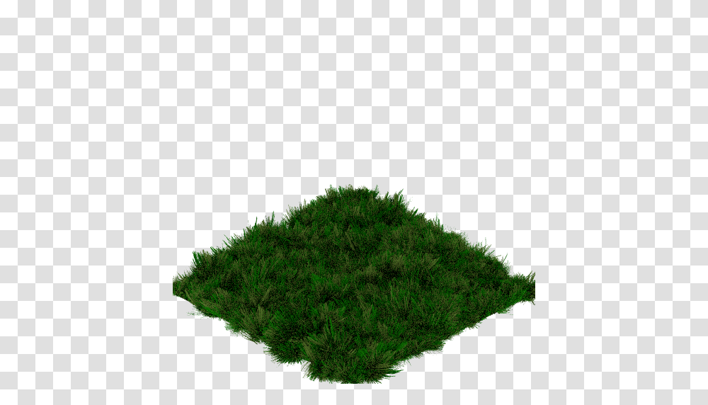 Freecol Discussion Freecolnicoos Art Workshop, Moss, Plant, Green, Vegetation Transparent Png