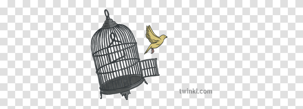 Freedom Bird Cage Illustration Twinkl Sizzling Starts To Narratives, Animal, Furniture, Finch, Vulture Transparent Png