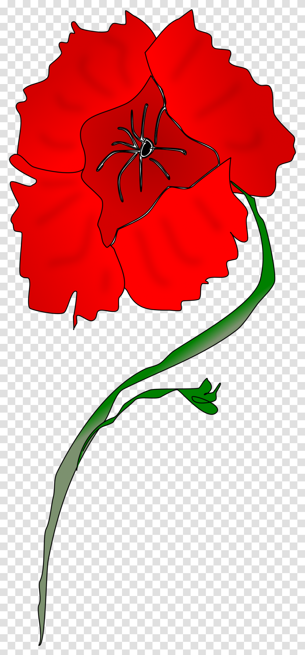 Freeform Poppy Icons, Plant, Flower, Blossom, Carnation Transparent Png