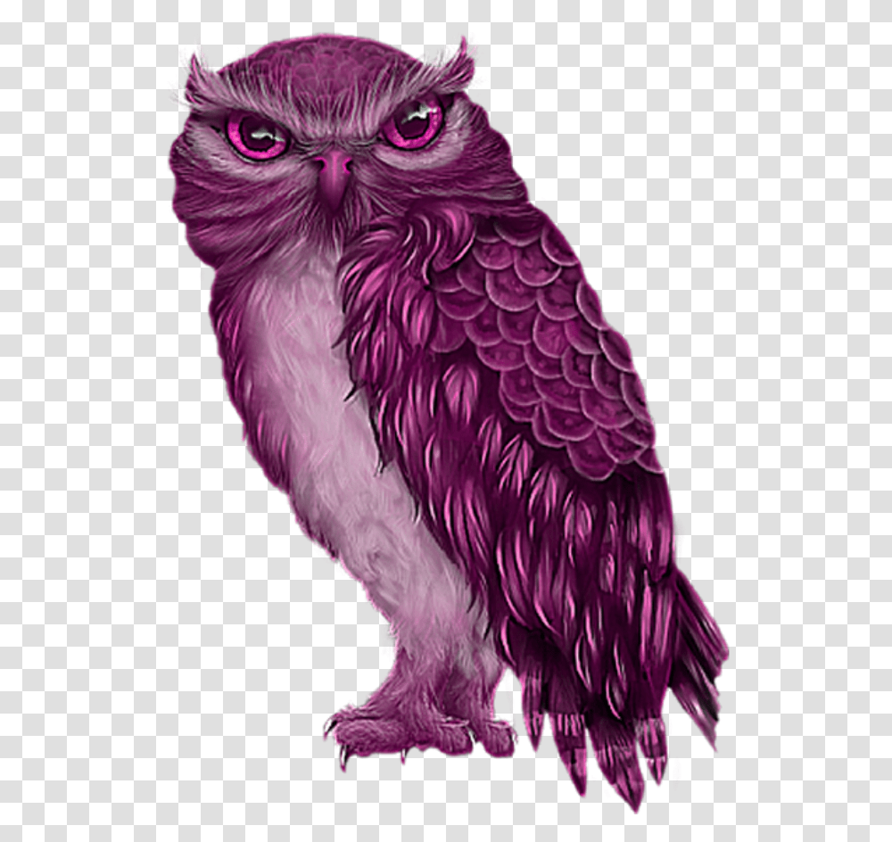 Freetoeddit Pink Owl, Bird, Animal, Beak, Chicken Transparent Png