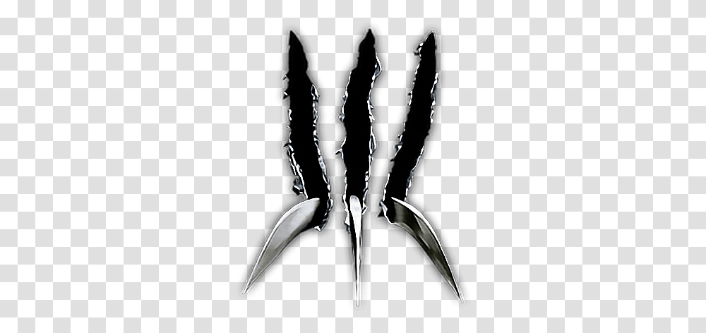 Freetoedit Awesome Cool Wolverine Claws Wolverine Logo, Animal, Person, Insect, Invertebrate Transparent Png