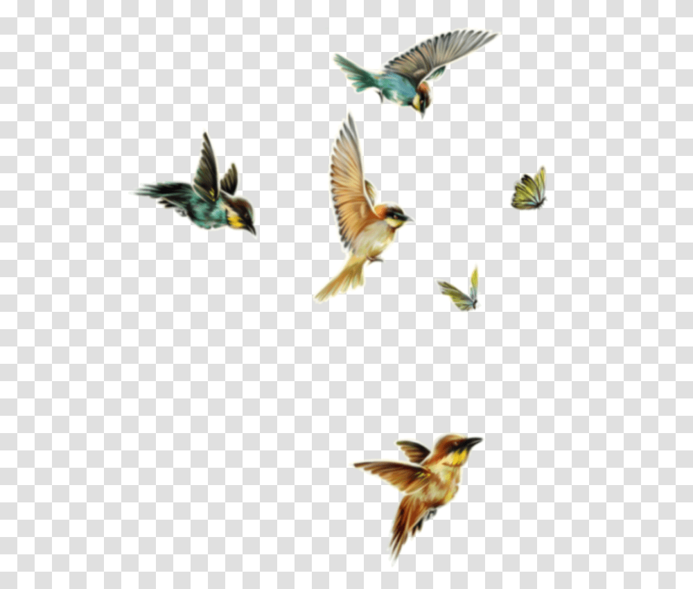 Freetoedit Birds Butterflies Flying Flock, Animal, Finch, Plant, Swallow Transparent Png