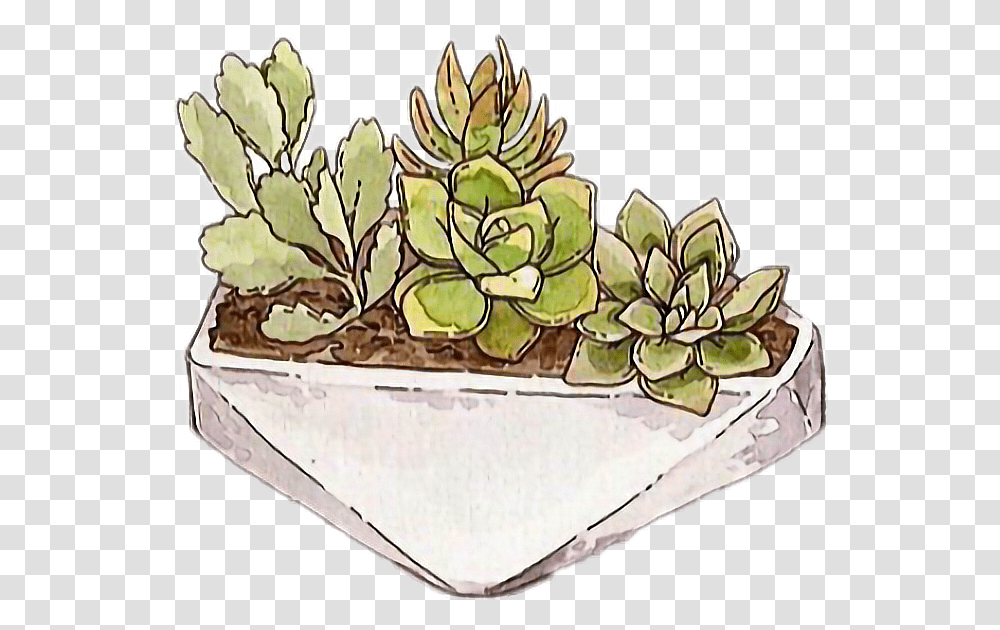Freetoedit Cactus Succulent Tumblr Cartoon, Potted Plant, Vase, Jar, Pottery Transparent Png