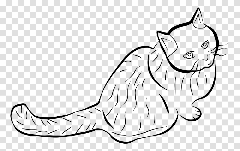 Freetoedit Cat Outline Mydraw Draw Drawing Sketch European Shorthair, Gray, World Of Warcraft Transparent Png