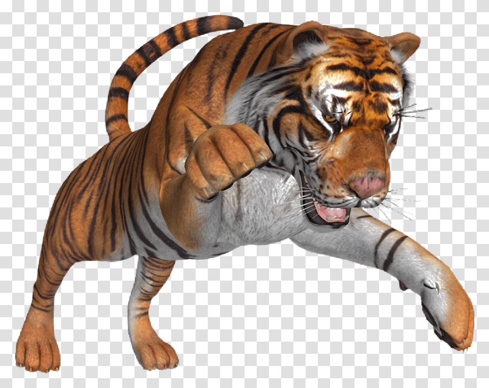 Freetoedit Creative Animal Tiger Angry Taylor Siberian Tiger, Wildlife, Mammal, Dinosaur Transparent Png