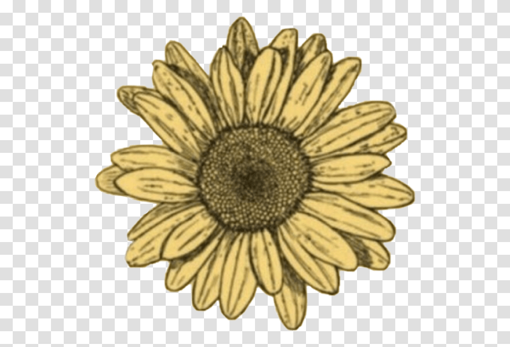 Freetoedit Doodle Sunflower Sun Sunshine Flowers Blue Sunflower Sticker, Plant, Blossom, Daisy, Daisies Transparent Png