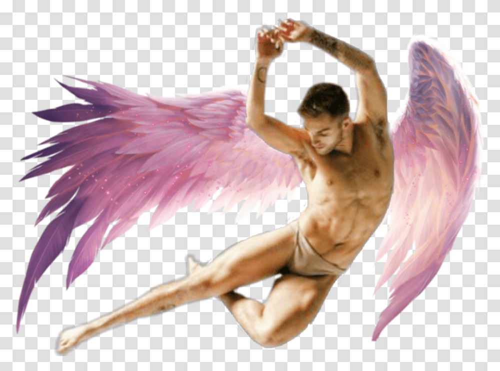 Freetoedit Fairy Angel Man Human Wings Guy Male Angel Anime Wings, Person, Bird, Animal Transparent Png