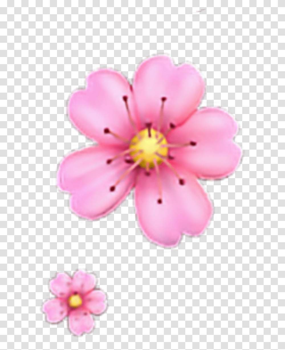 Freetoedit Floweremoji Flower Emoji Iphone Iphoneemoji Pink Flower Emoji, Plant, Blossom, Anther, Petal Transparent Png